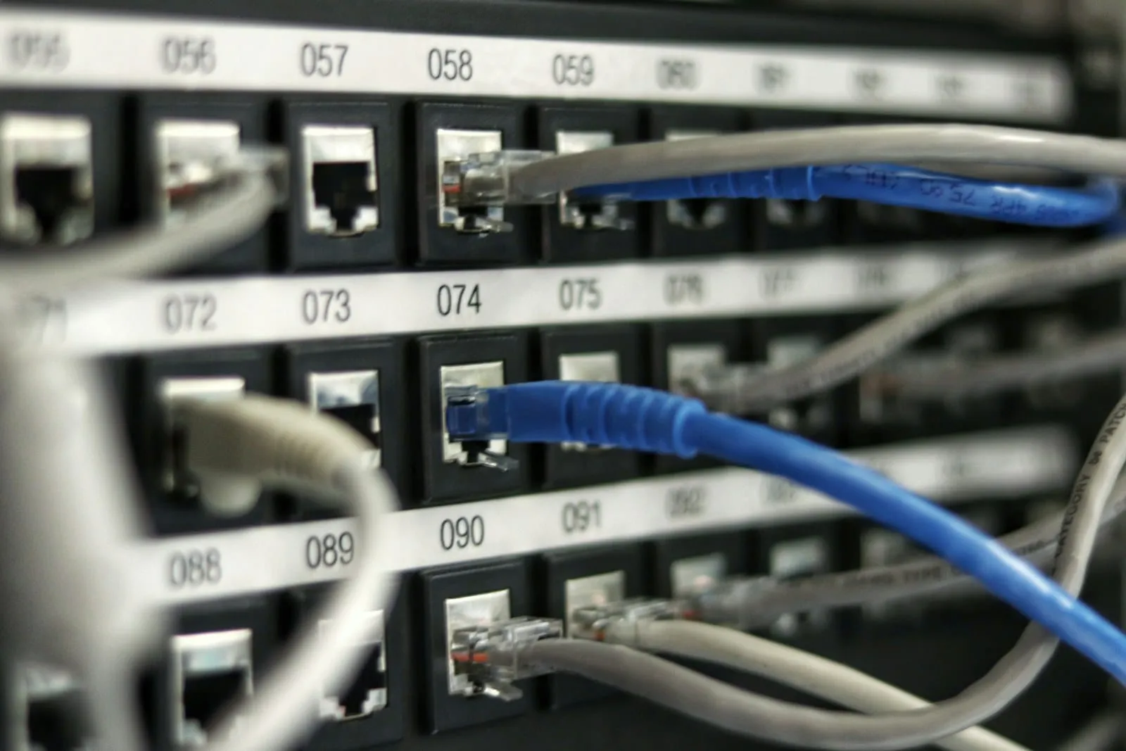 Blue network cables patched into a switch in a cabinet
